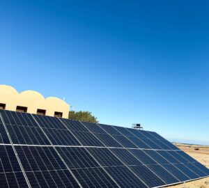 f4159caa-8c1e-4abb-88a1-02c1391aa63c-min