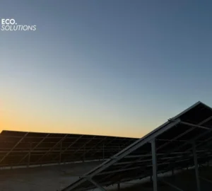 598120716_4244287162452001_5428258446688148687_n