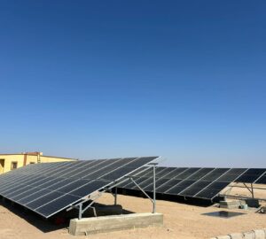 WhatsApp Image 2026-02-24 at 11.35.15 AM (2)